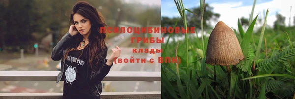 скорость Алзамай