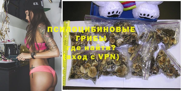 дурь Алексин