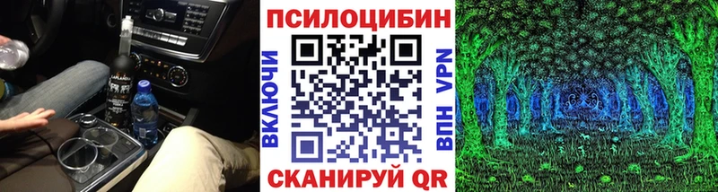 где купить наркотик Дудинка Галлюциногенные грибы Cubensis